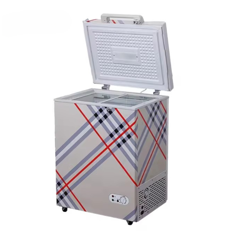 Congélateur Solaie Hybride 160L