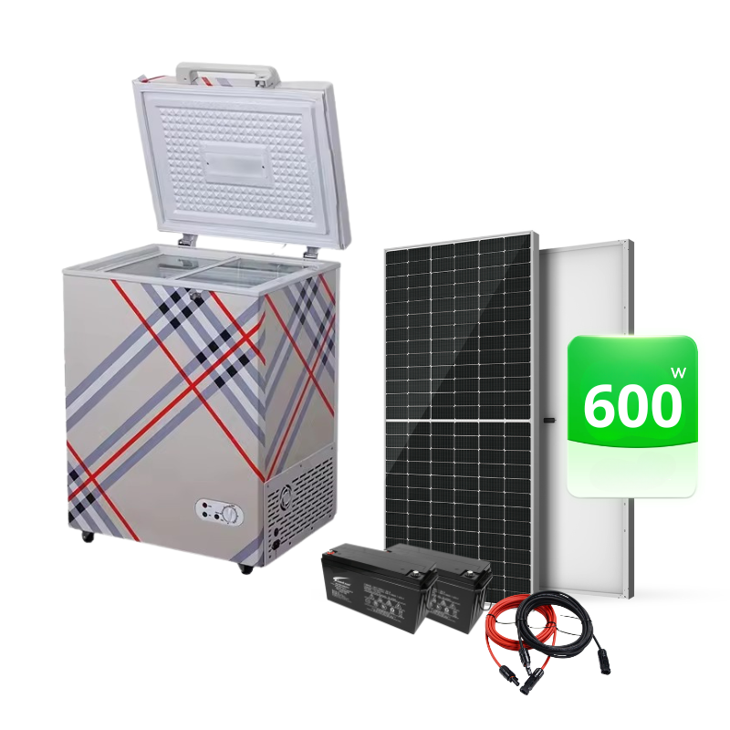 Congélateur Solaie Hybride 160L