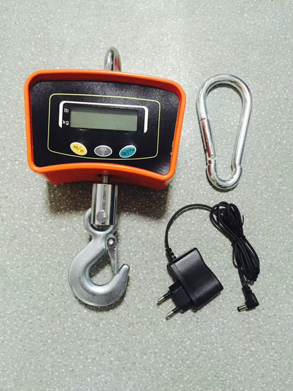 Balance Suspendue Numérique