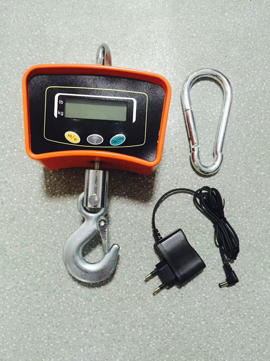 Balance Suspendue Numérique