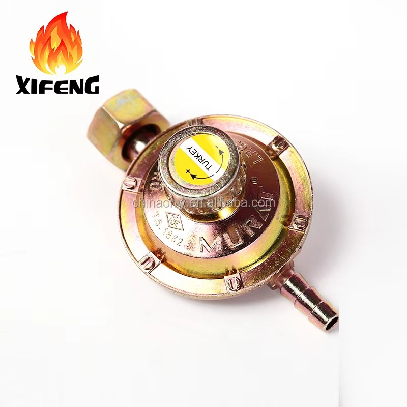 Régulateur de Gaz turkey